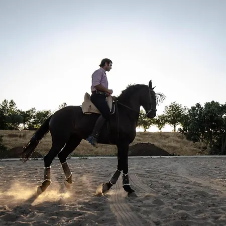 La Dehesa De Don Pedro Monesterio