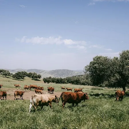 מלון La Dehesa De Don Pedro *