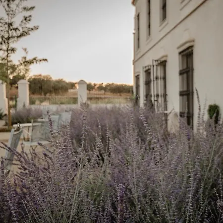 La Dehesa De Don Pedro Monesterio