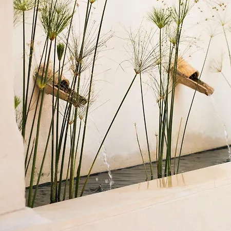 Hotel La Dehesa De Don Pedro