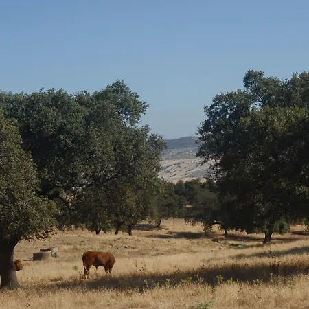 La Dehesa De Don Pedro Monesterio