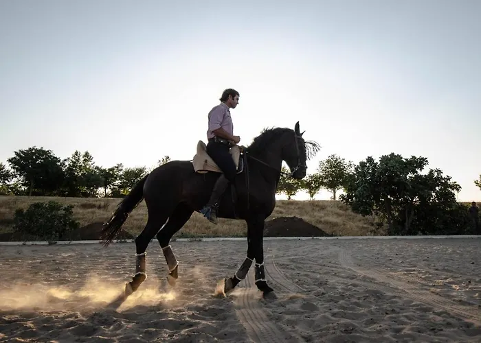 La Dehesa De Don Pedro Monesterio