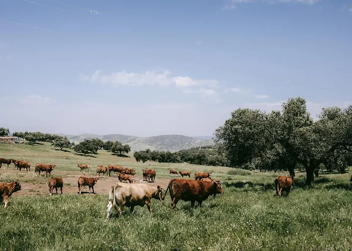 فندق La Dehesa De Don Pedro *