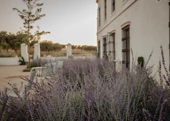 La Dehesa De Don Pedro Monesterio