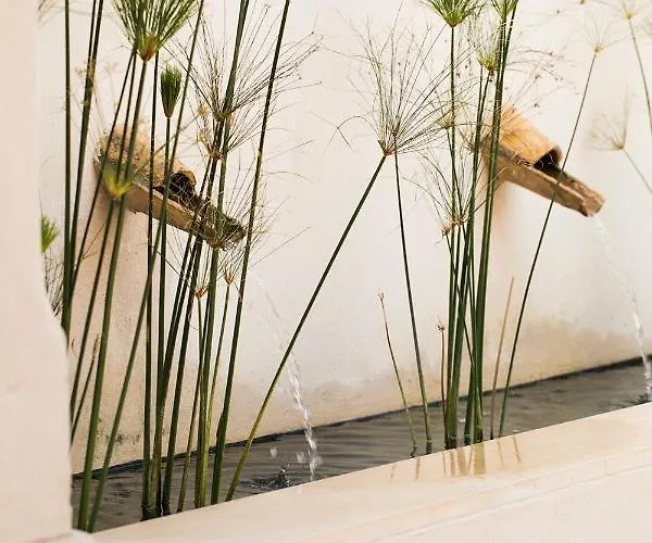 酒店 La Dehesa De Don Pedro