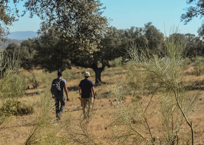 La Dehesa De Don Pedro Hotel *